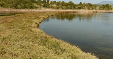 Tragédia no Lago Baikal: Micro-ônibus Cai e Oito Morrem na Sibéria