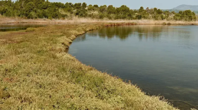 Tragédia no Lago Baikal: Micro-ônibus Cai e Oito Morrem na Sibéria