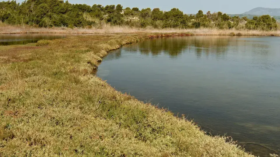 Tragédia no Lago Baikal: Micro-ônibus Cai e Oito Morrem na Sibéria