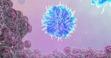 Células cancerígenas e sua fuga do sistema imunológico