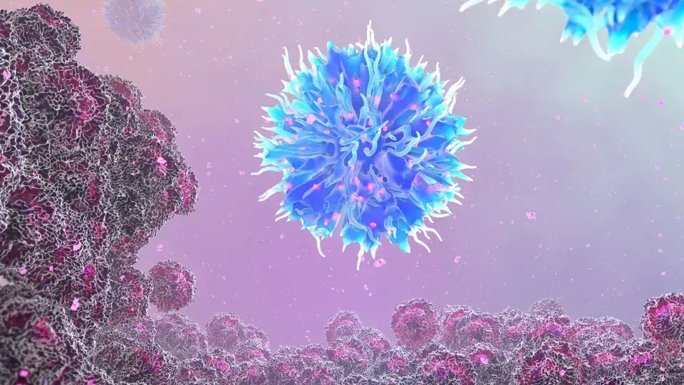 Células cancerígenas e sua fuga do sistema imunológico