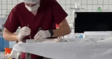 CRMV-PB Interrompe Castrações Irregulares em Juripiranga