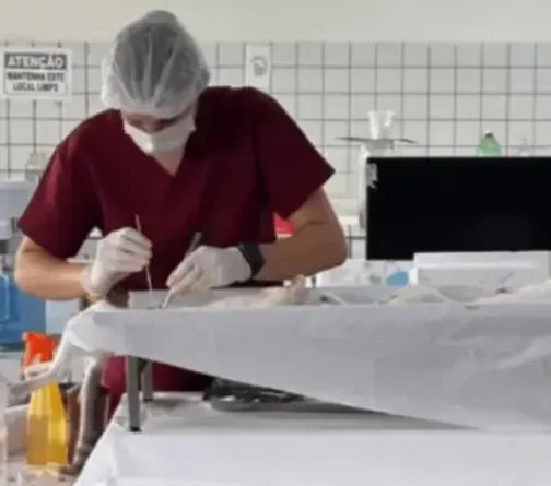 CRMV-PB Interrompe Castrações Irregulares em Juripiranga