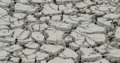 Governo decreta situação de emergência em cidades da Paraíba