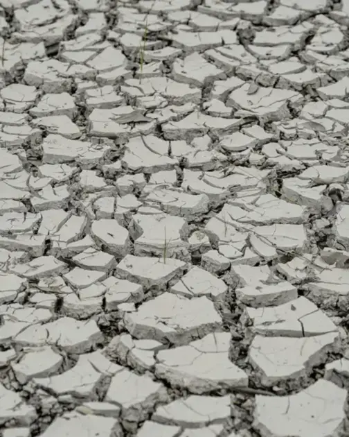 Governo decreta situação de emergência em cidades da Paraíba