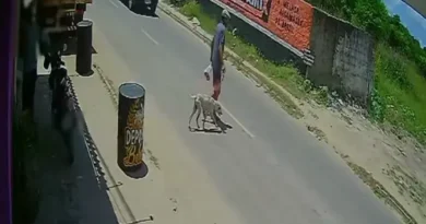 Homem preso por pendurar cachorro em João Pessoa pede desculpas