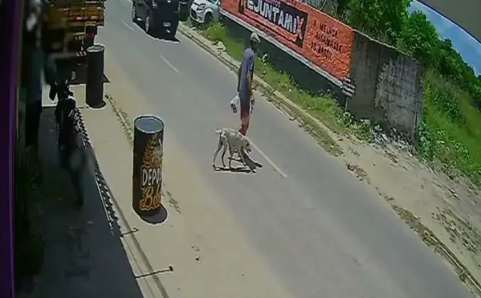 Homem preso por pendurar cachorro em João Pessoa pede desculpas