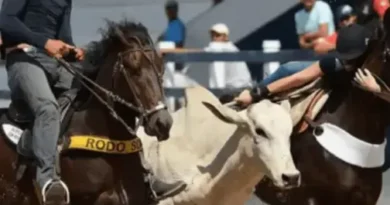 MP recomenda suspensão de vaquejada prevista em Brejo do Cruz, Paraíba