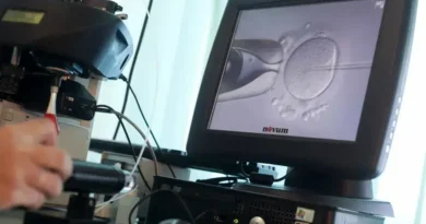 Casal processa clínica de fertilização após erro em embrião