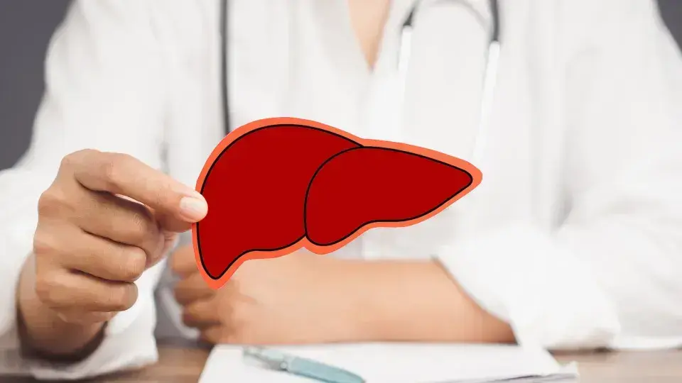 Cinco alimentos fundamentais para proteger a saúde do fígado