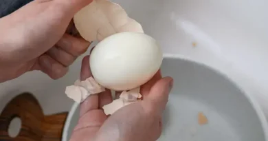 Descubra truques para descascar ovos cozidos sem esforço