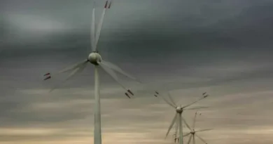 Empresas de energia renovável suspendem investimentos de R$ 40 bilhões no Nordeste