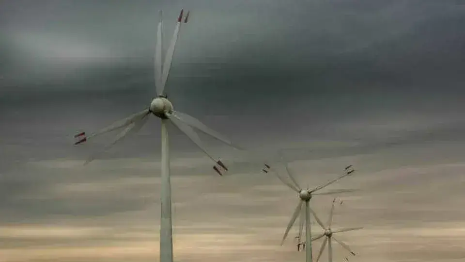 Empresas de energia renovável suspendem investimentos de R$ 40 bilhões no Nordeste