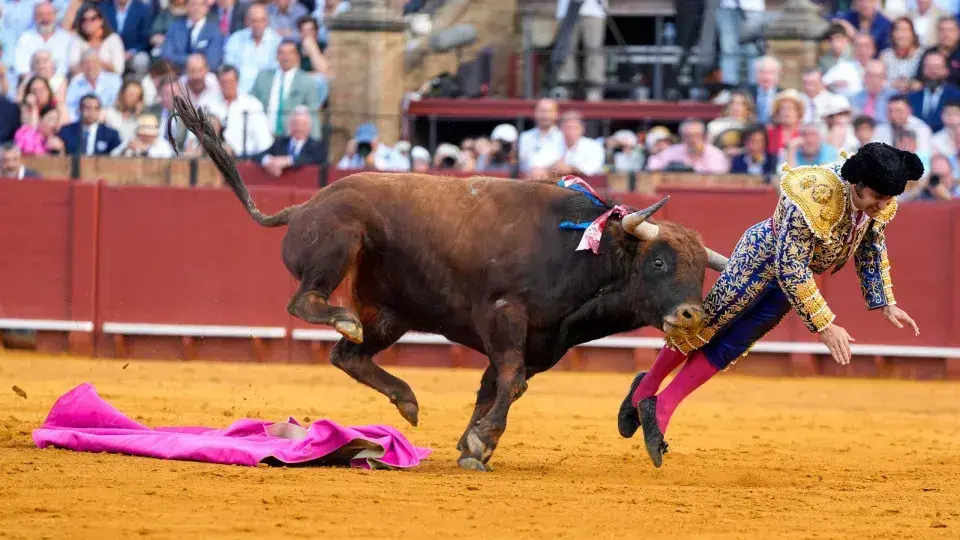 Famoso toureiro Morante de la Puebla é gravemente ferido em Sevilha