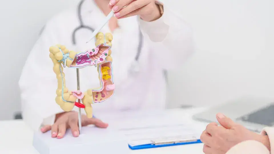 Hábitos Diários para Reduzir o Risco de Câncer Colorretal