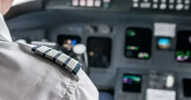 Pilotos desrespeitam protocolo e fazem barulho de animais no ar