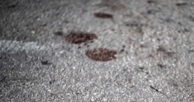 Tragédia em Deputado Irapuan Pinheiro: Adolescente Morta Após Recusar Investidas