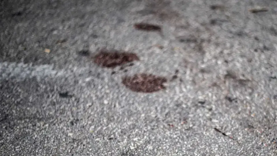 Tragédia em Deputado Irapuan Pinheiro: Adolescente Morta Após Recusar Investidas