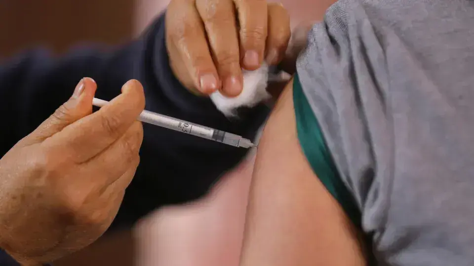 Vacina da gripe: Ministério da Saúde combate fake news sobre imunização