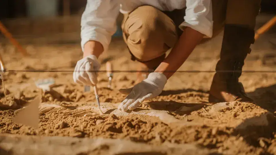 Brasil busca repatriação de dinossauros e patrimônios de 14 países