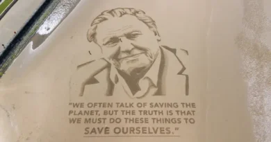 David Attenborough completa 100 anos com novo documentário sobre gorilas
