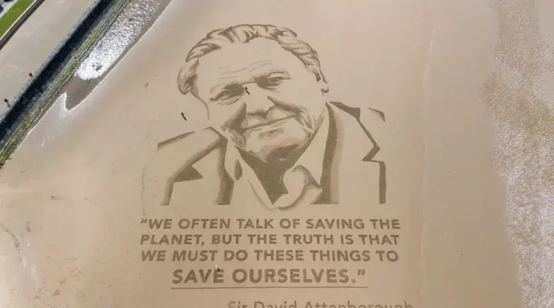 David Attenborough completa 100 anos com novo documentário sobre gorilas