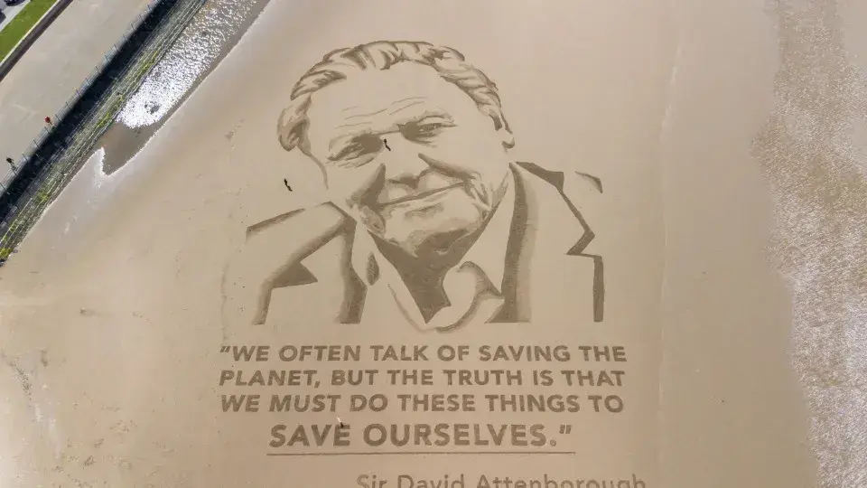 David Attenborough completa 100 anos com novo documentário sobre gorilas