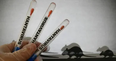Desembarque de passageiros nas Ilhas Canárias após surto de hantavírus