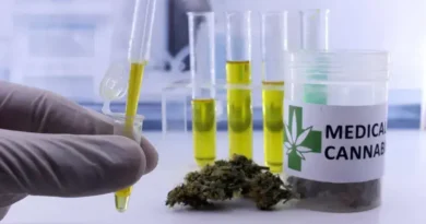 Estudo revela que mulheres de 45 a 64 anos lideram consumo de cannabis medicinal no Brasil