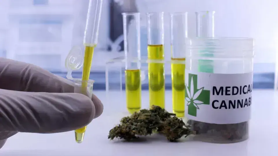 Estudo revela que mulheres de 45 a 64 anos lideram consumo de cannabis medicinal no Brasil