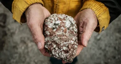 Minerais de Terras Raras: A importância e suas implicações geopolíticas