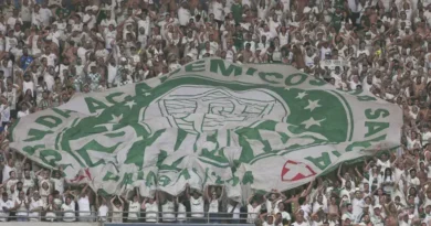 Palmeiras e Santos são denunciados no clássico por invasão e atraso