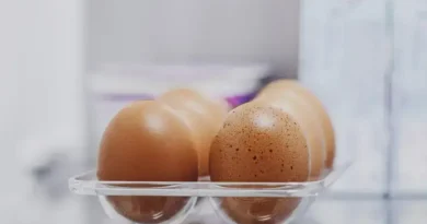 Saiba Como Armazenar e Aproveitar Ao Máximo os Ovos na Geladeira