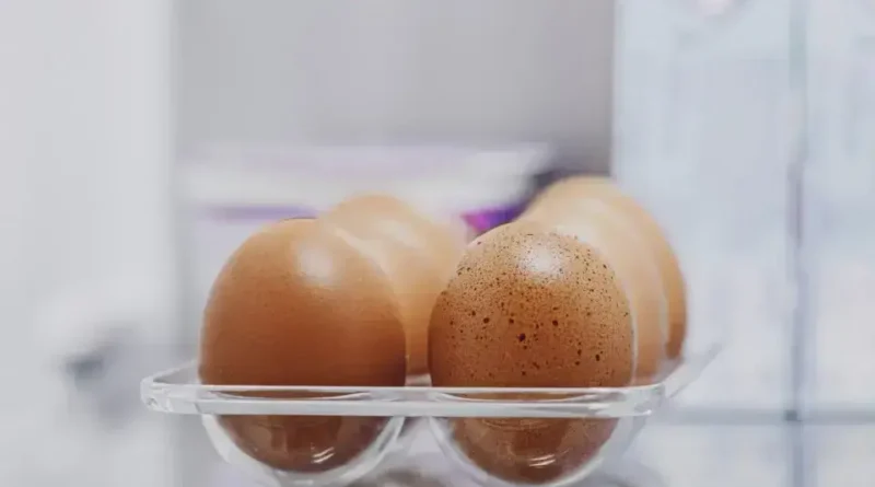 Saiba Como Armazenar e Aproveitar Ao Máximo os Ovos na Geladeira