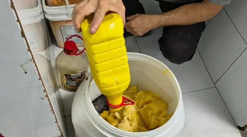 Dois estabelecimentos autuados em Campina Grande por irregularidades sanitárias