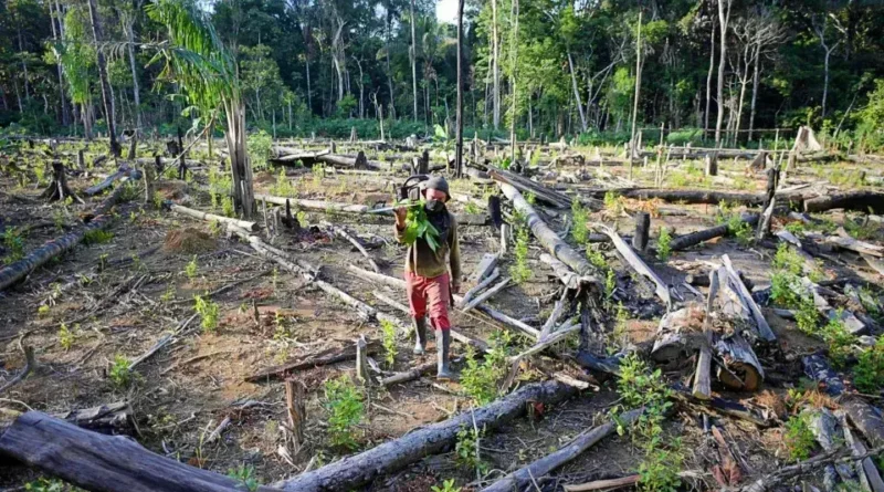 EUA propõem tarifas contra produtos brasileiros citando desmatamento e soja