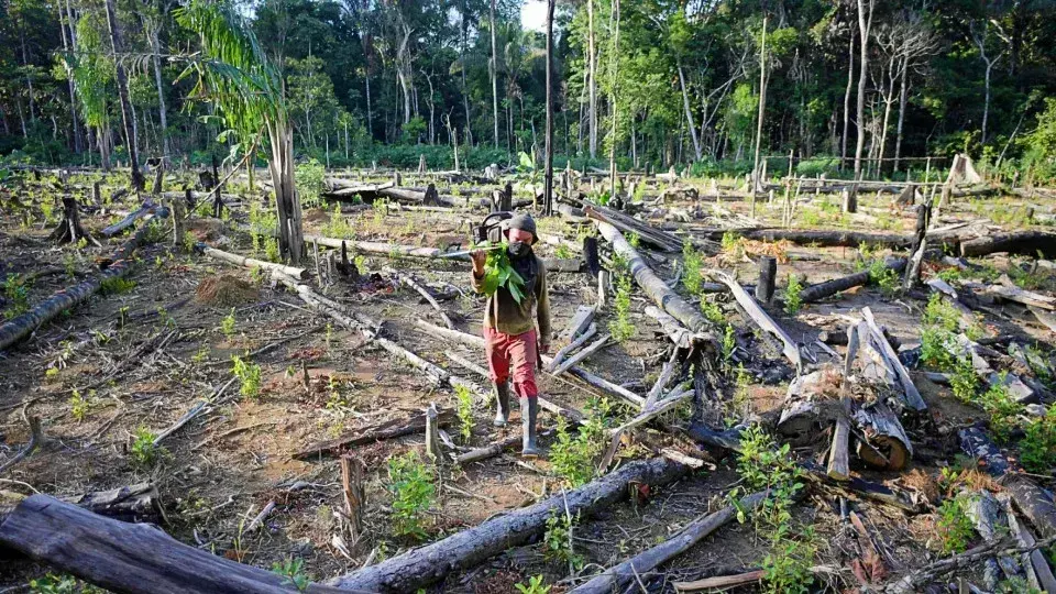 EUA propõem tarifas contra produtos brasileiros citando desmatamento e soja