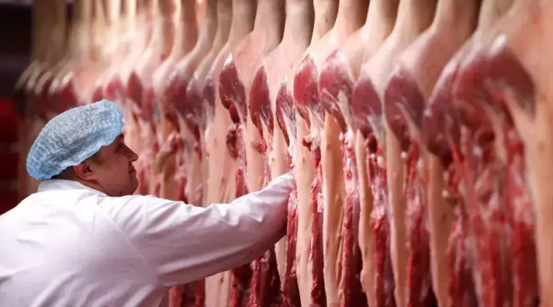 Faep critica suspensão das importações de carne pela União Europeia