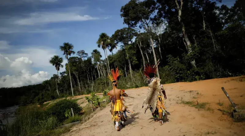 Fazendeiros em Rondônia Usam Agrotóxicos para Expulsar Indígenas