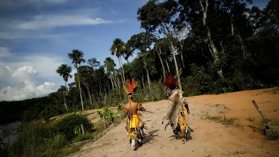 Fazendeiros em Rondônia Usam Agrotóxicos para Expulsar Indígenas