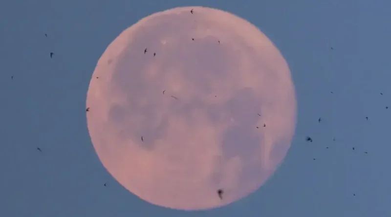 Lua de Morango será visível em todo Brasil nesta segunda-feira