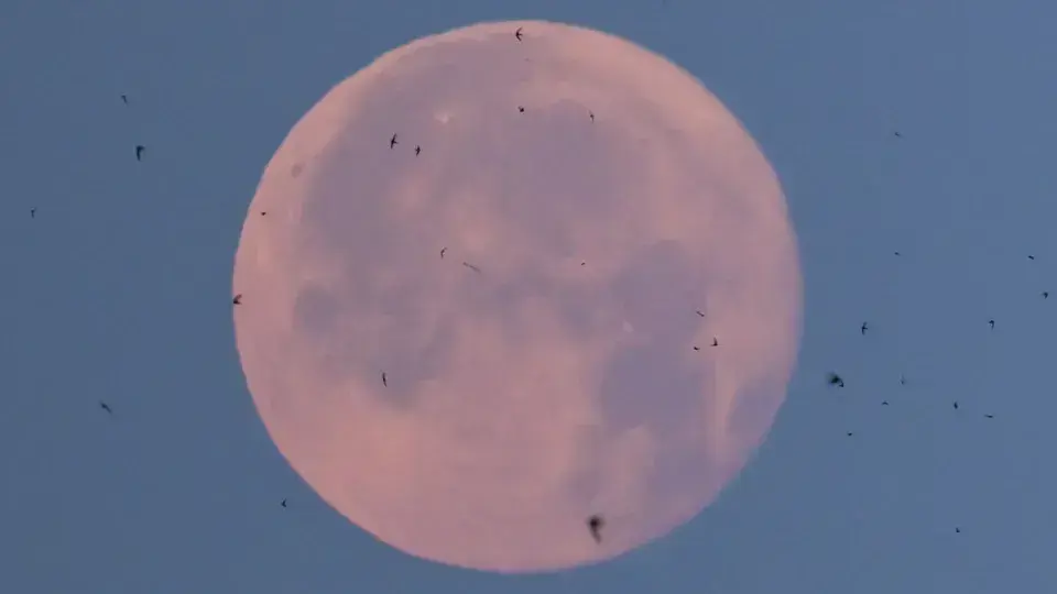 Lua de Morango será visível em todo Brasil nesta segunda-feira