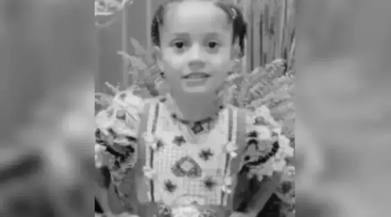 Menina de 6 anos morre após tiro acidental do irmão de 12 anos em MG