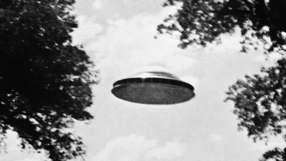 O que fazer se você encontrar um alienígena? Entenda agora!