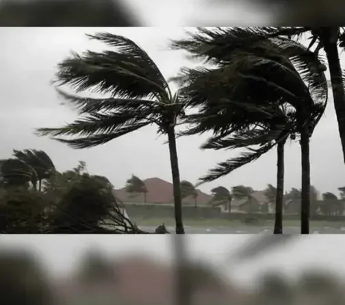 Alertas de Vendaval em Toda a Paraíba: O Que Você Precisa Saber