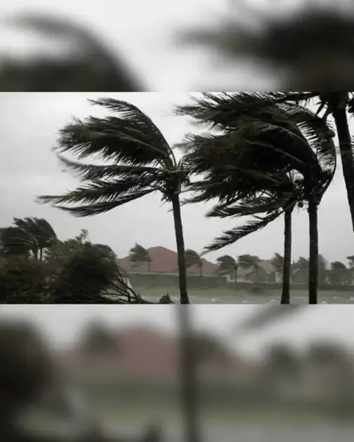 Alertas de Vendaval em Toda a Paraíba: O Que Você Precisa Saber