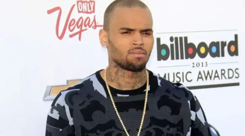 Chris Brown é condenado por ataque de cão a funcionária doméstica