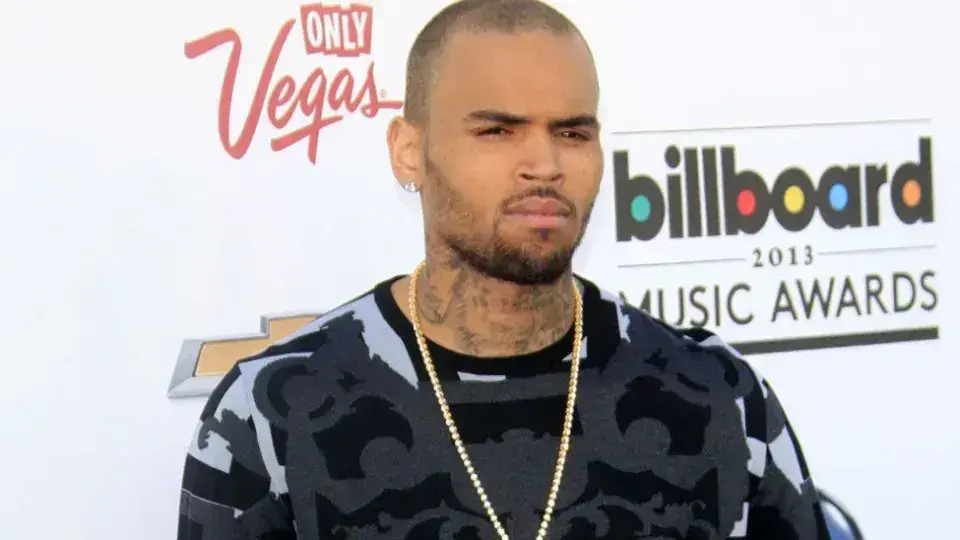 Chris Brown é condenado por ataque de cão a funcionária doméstica