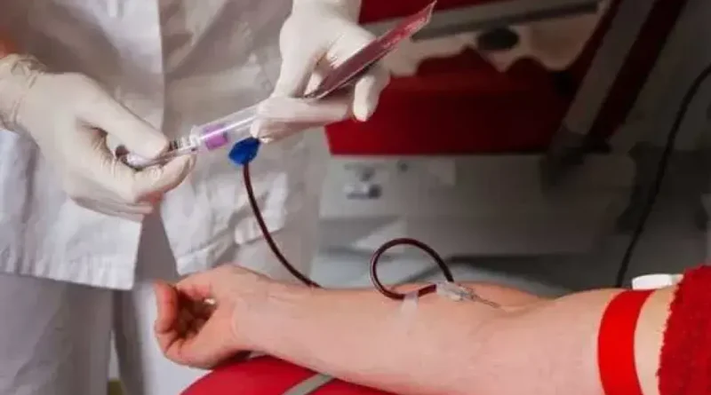 Cuidados essenciais para a doação de sangue: o que você precisa saber