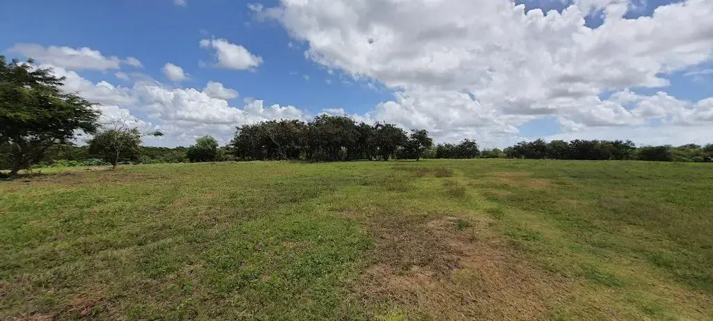 Irregularidades levam à paralisação de obras no Parque Socioambiental do Roger em João Pessoa